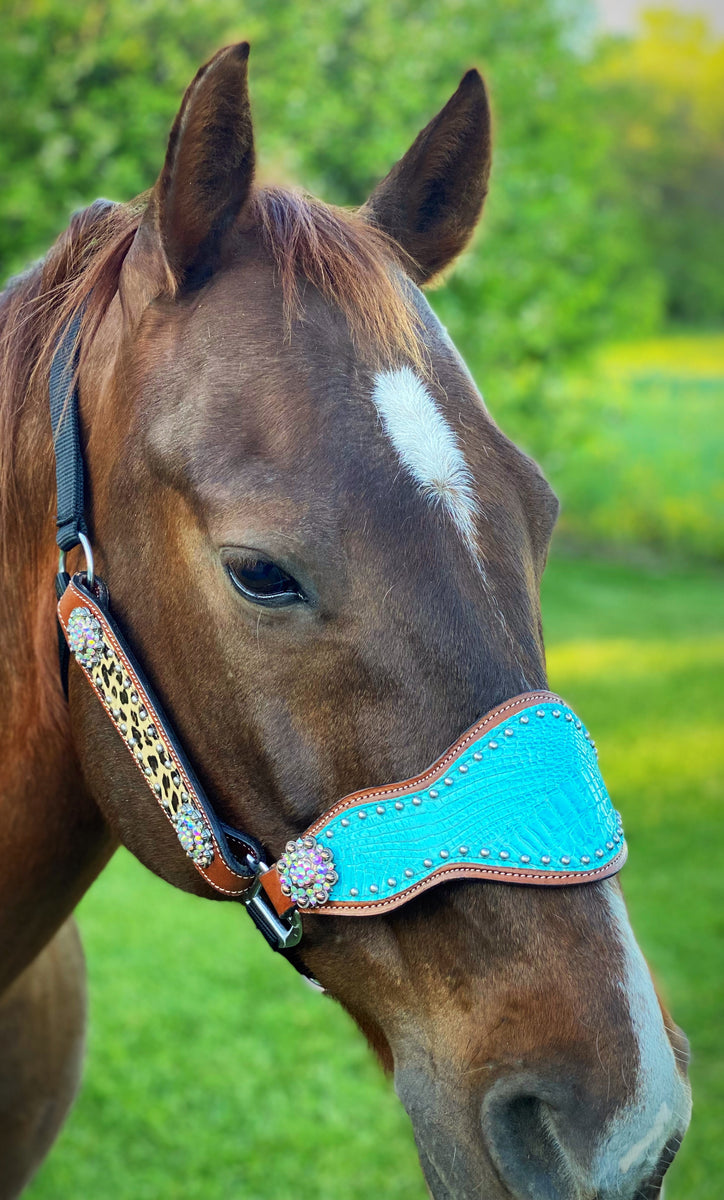 Turquoise Scroll Bronc Halter – Twisted T Tack