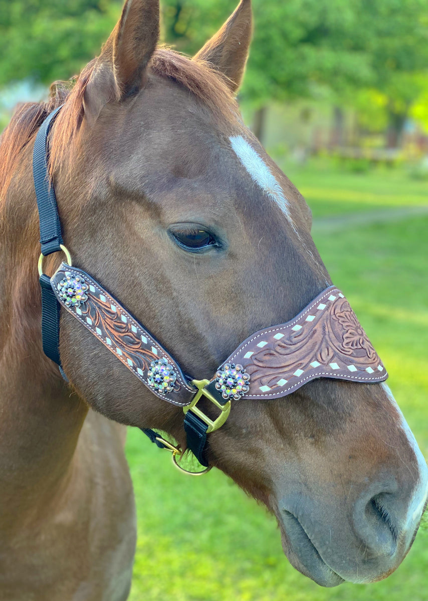 Chocolate & White Gator 3 Piece Bronc Halter Horse Tack 