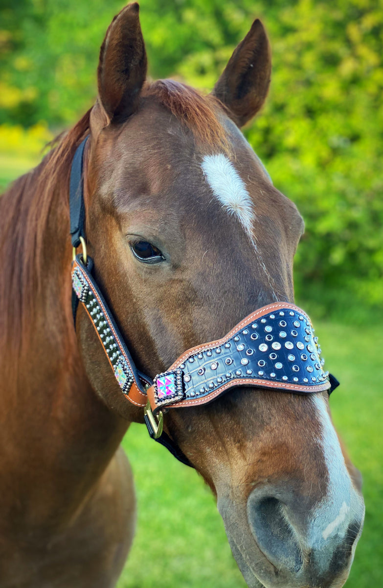 Chocolate & White Gator 3 Piece Bronc Halter Horse Tack 