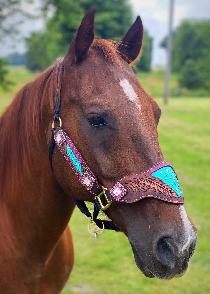 Turquoise with Pink Buckstitch Cob Size Bronc Halter