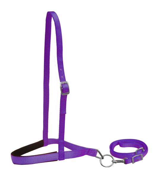 Purple Nylon Tie Down