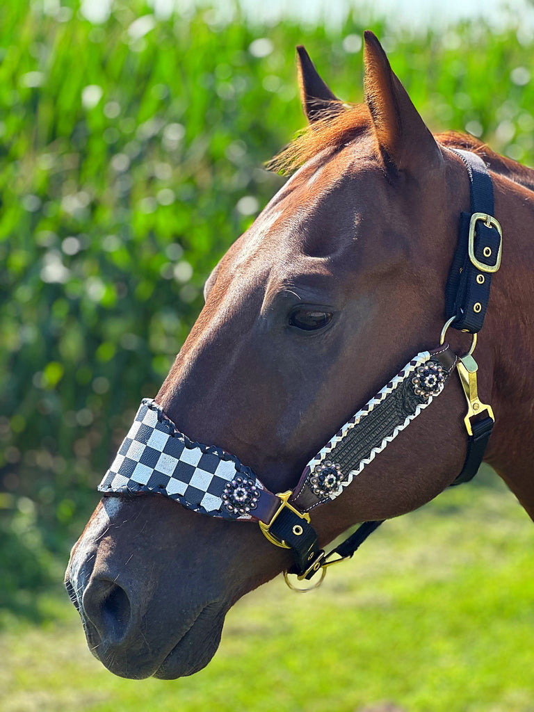 Finish Line Bronc Halter