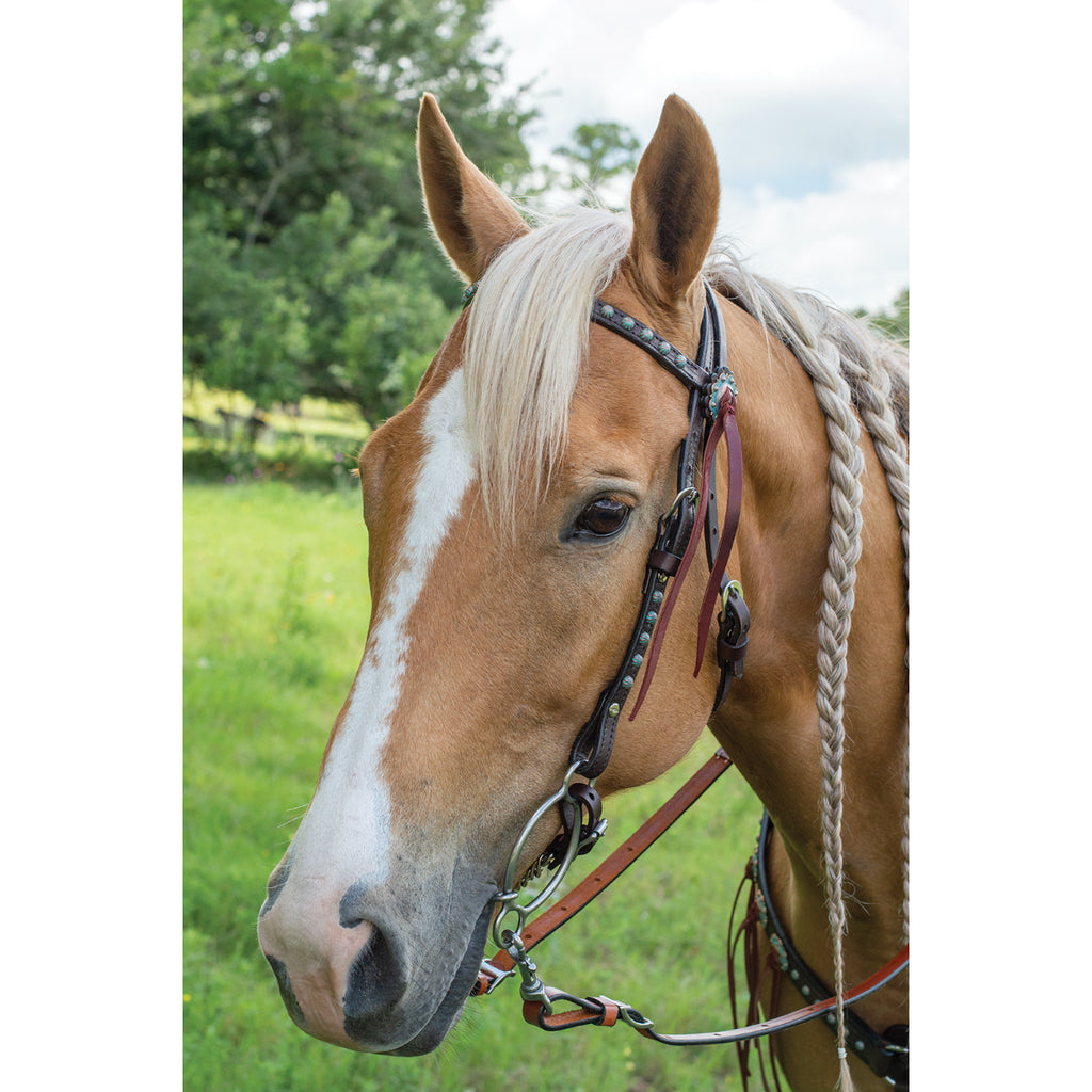 Remuda Browband Headstall