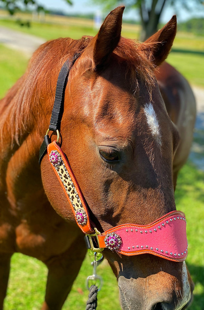 Pink Cheetah Bronc Halter