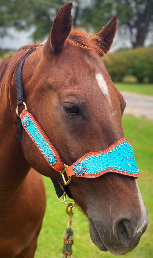 Turquoise Gator Cob Bronc Halter