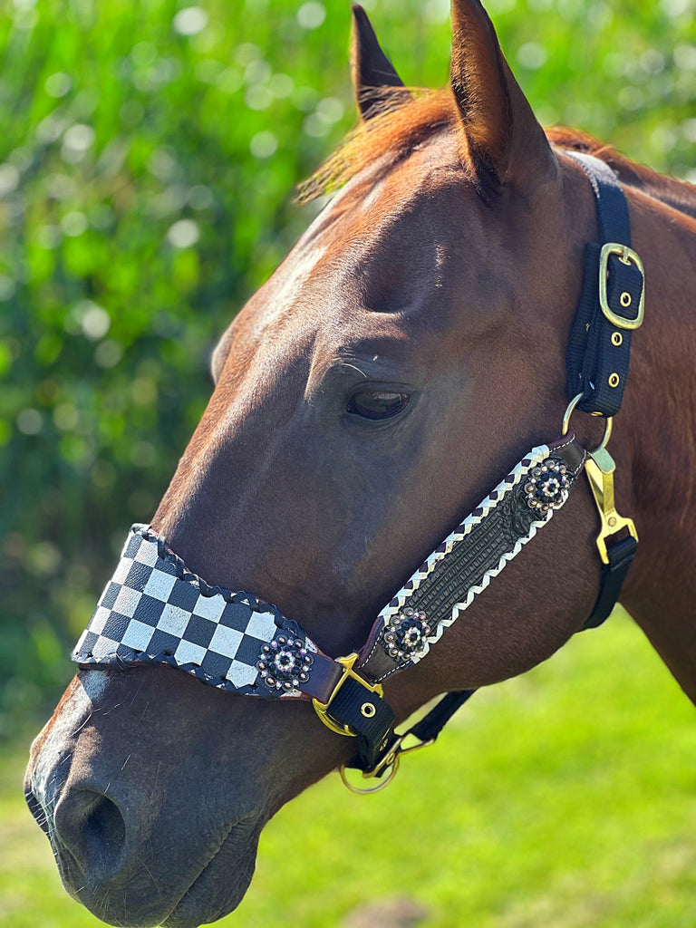Finish Line Bronc Halter
