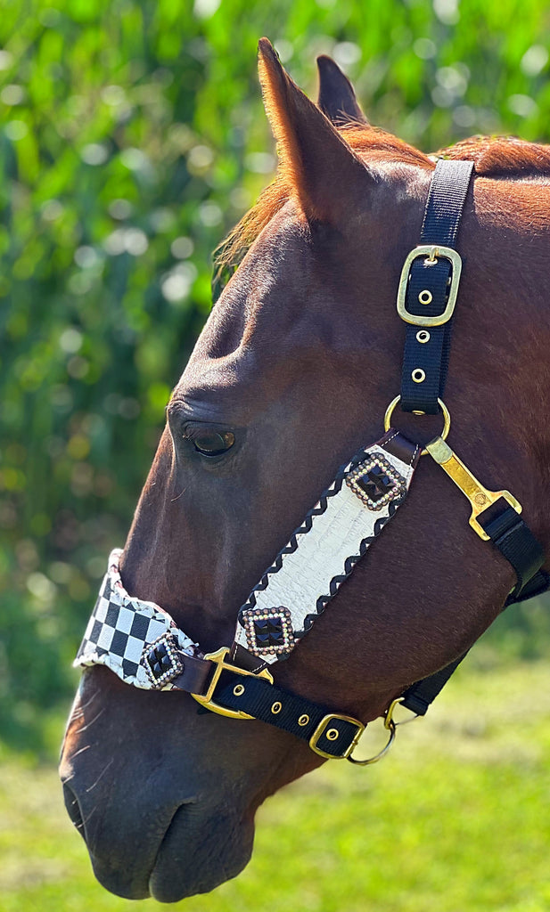 Checkered Bronc Halter