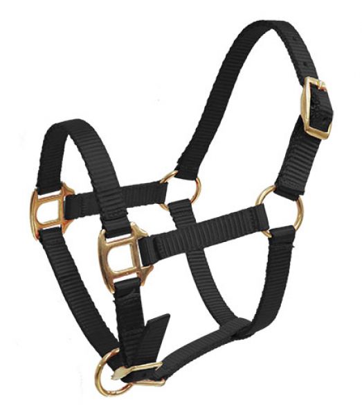 Foal/Mini Size Nylon Halter