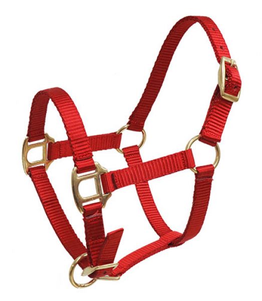 Foal/Mini Size Nylon Halter