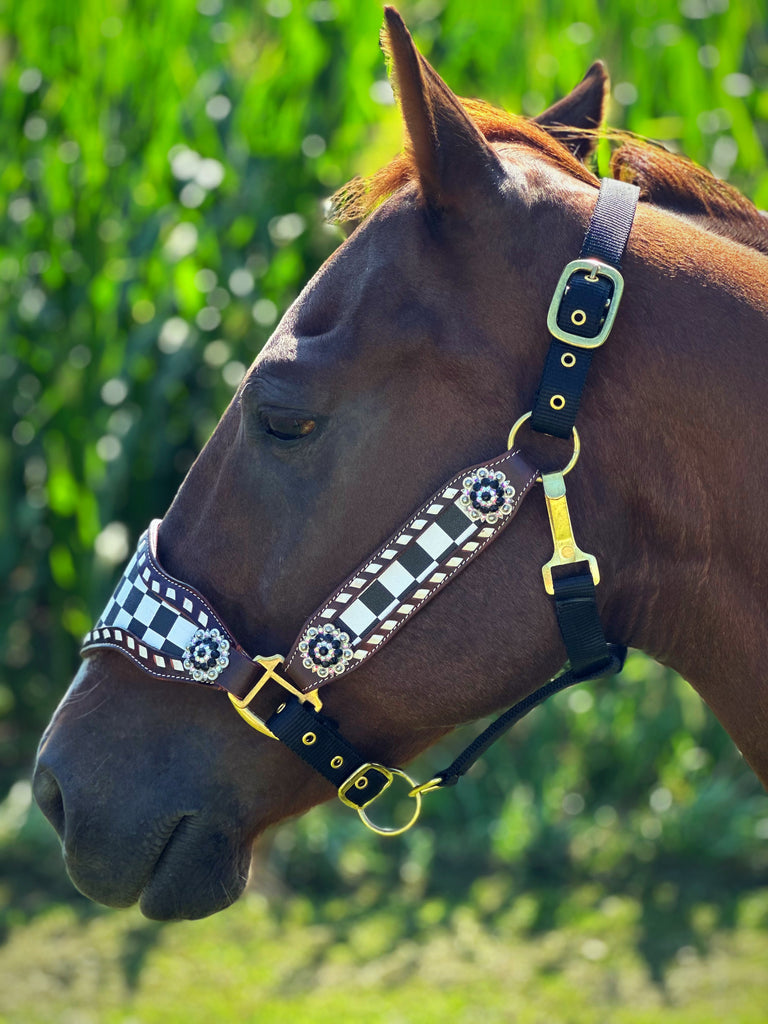 Race Day Bronc Halter