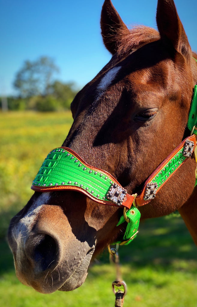 Lime Green Bronc Halter