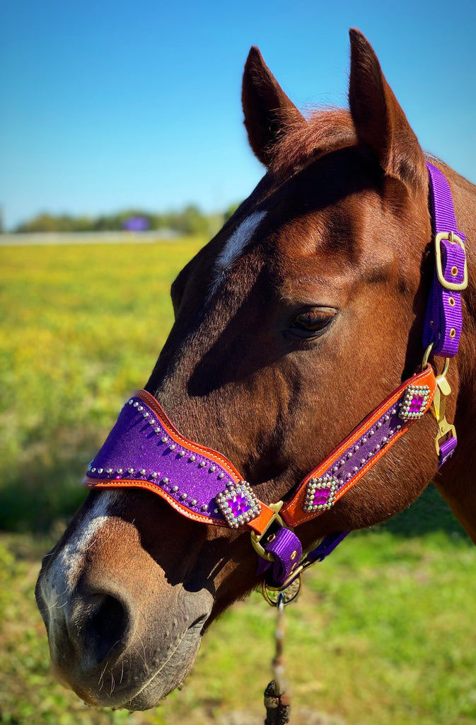 Purple Glitter Bronc Halter