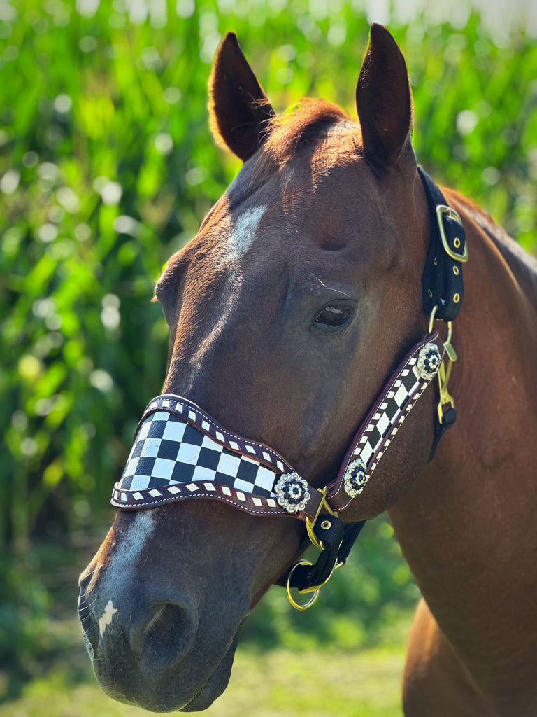 Race Day Bronc Halter