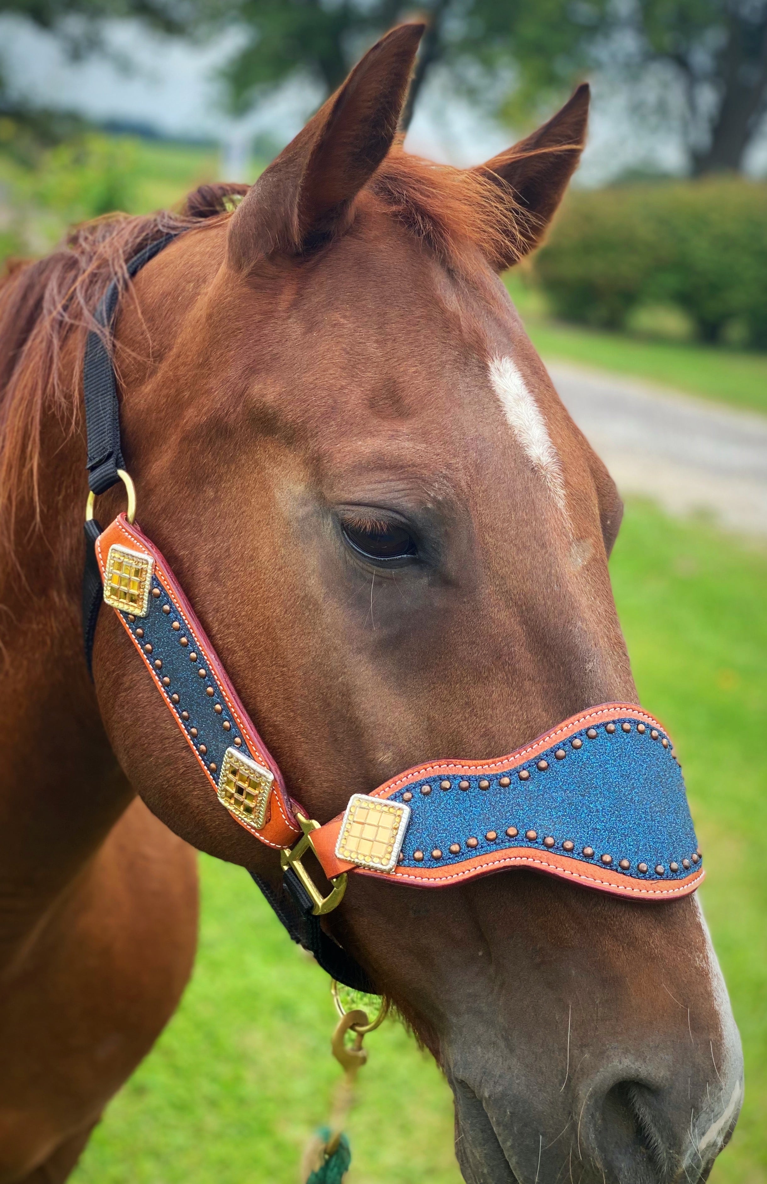 Red Cheetah Cob Size Bronc Halter – Twisted T Tack