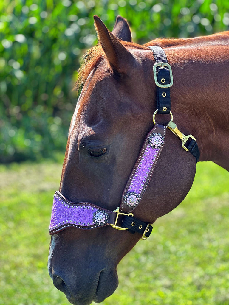 Lavender Glitter Bronc Halter