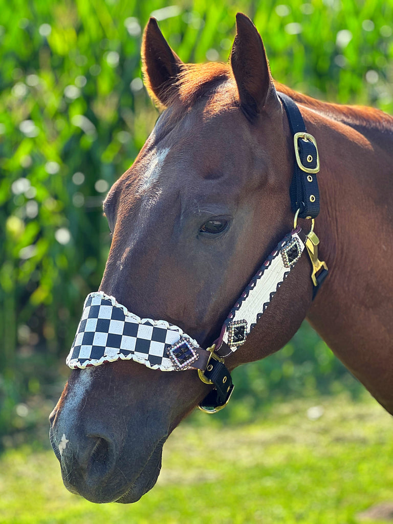 Checkered Bronc Halter