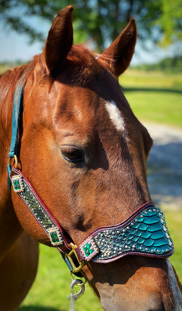 Emerald Bronc Halter