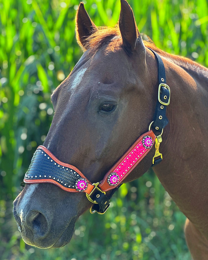 Hot Pink and Black Bronc Halter