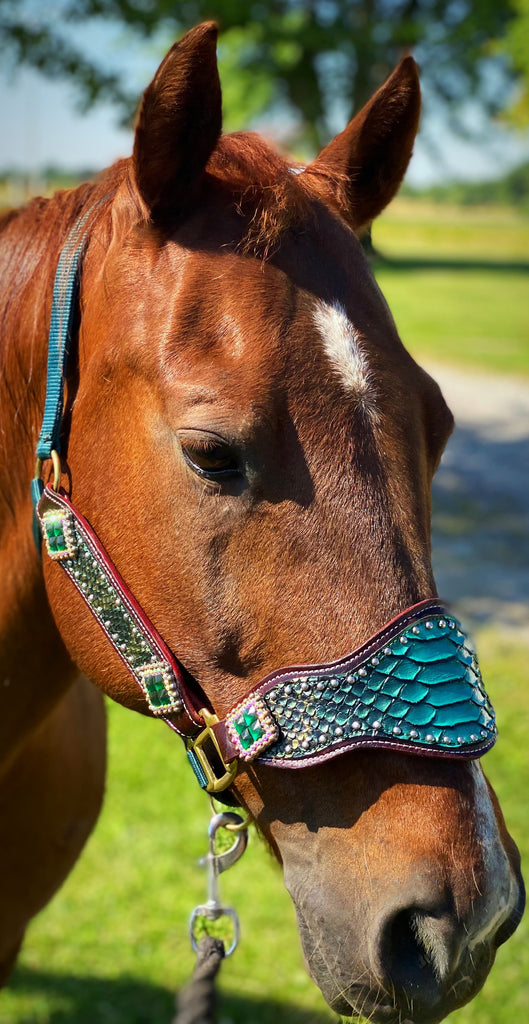 Emerald Bronc Halter