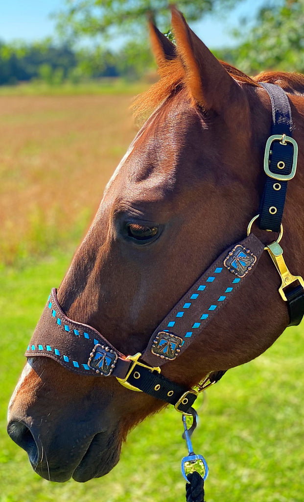 Roughout with Turquoise Buckstitch Bronc Halter