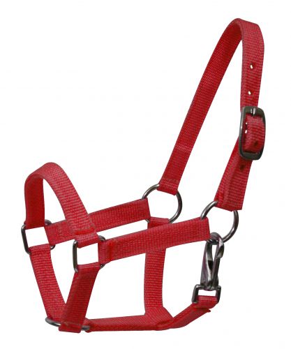 Mini Size Nylon Halter