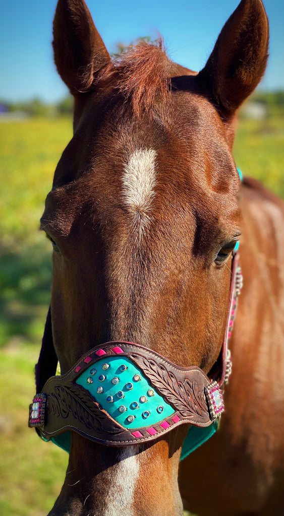 Turquoise With Pink Buckstitch Bronc Halter