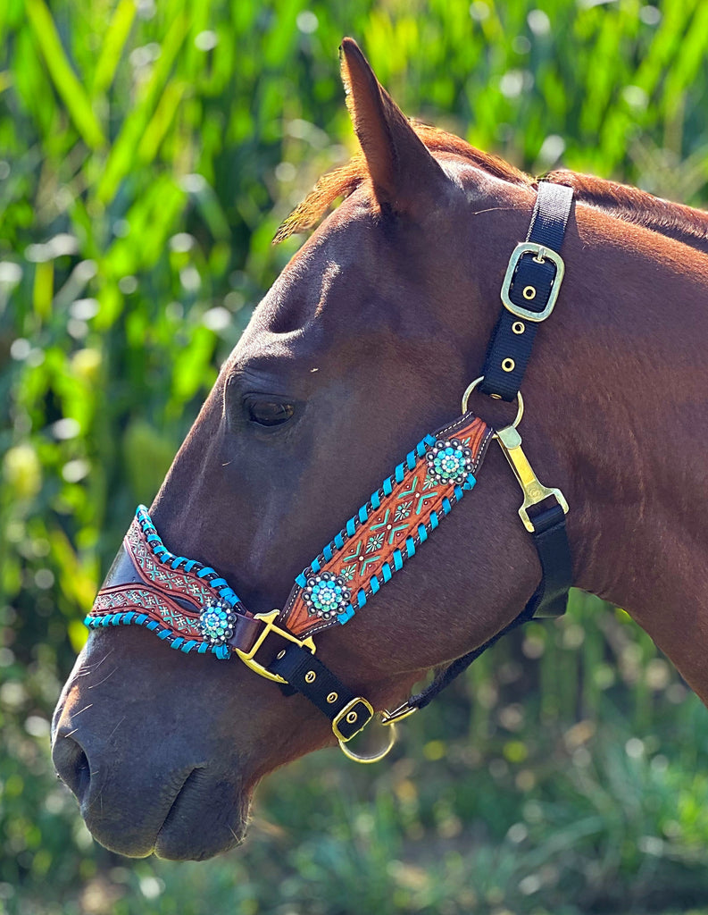 Macy Bronc Halter