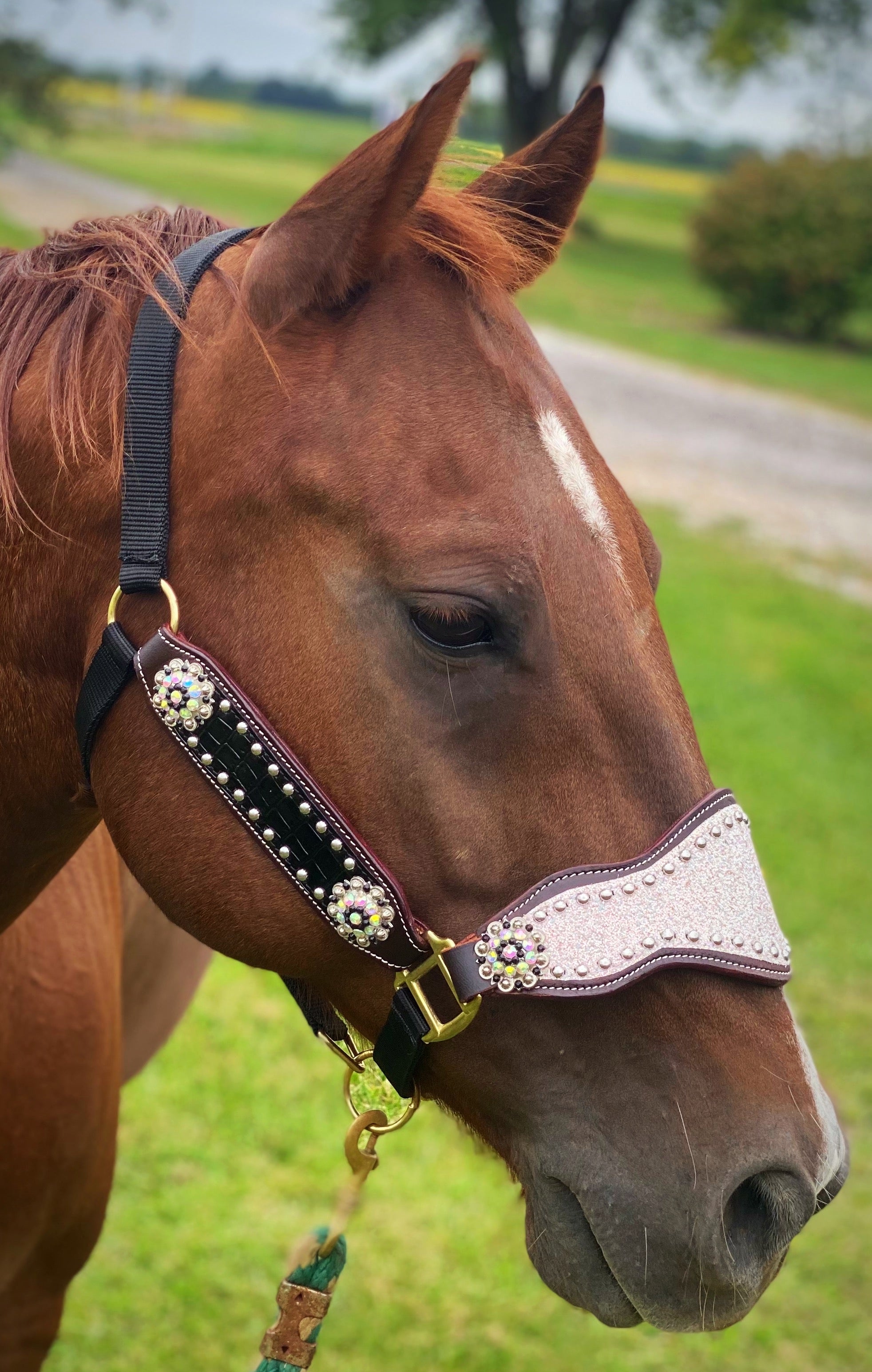 Cob Size Tack – Twisted T Tack