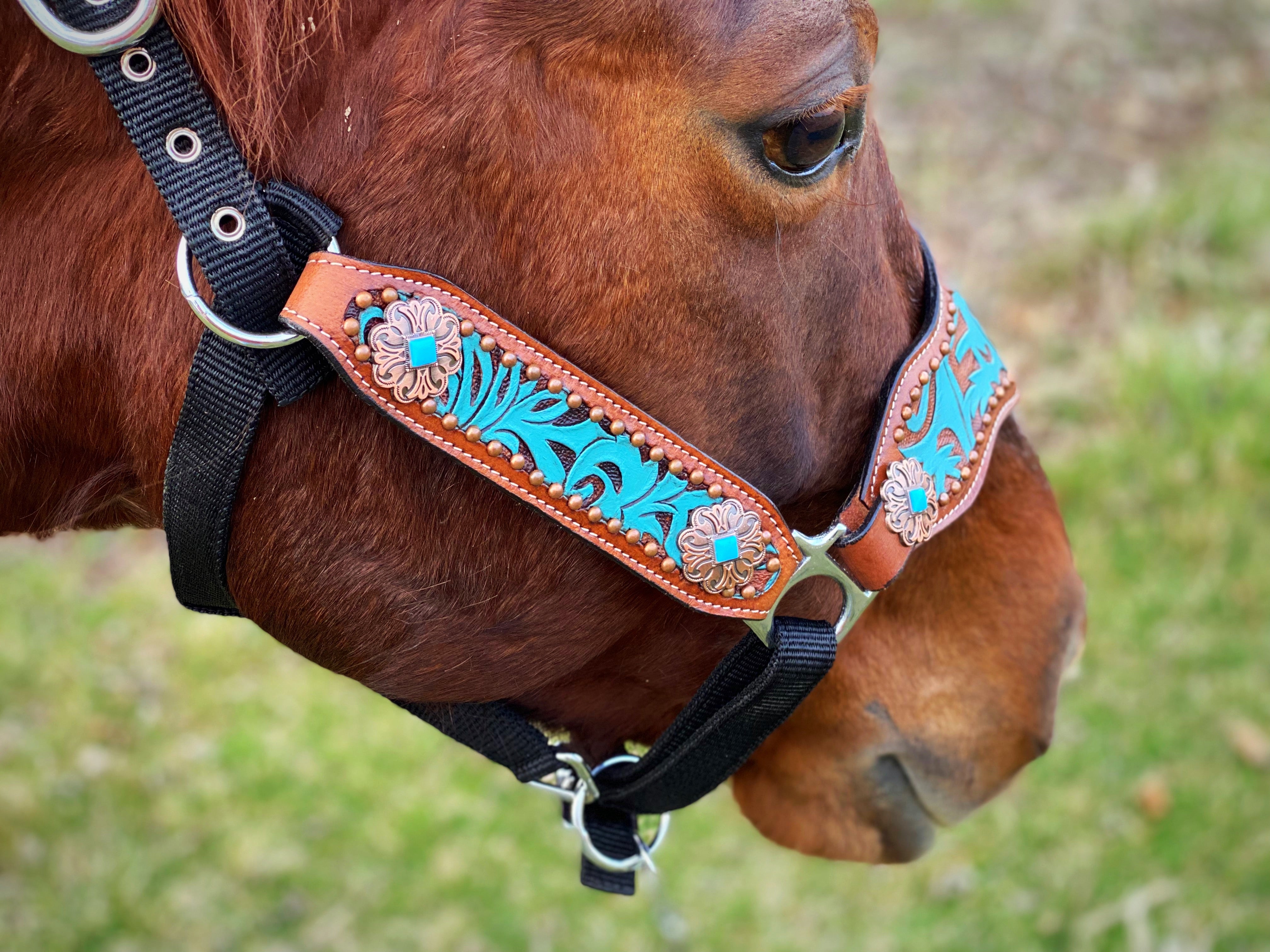 Turquoise Scroll Bronc Halter – Twisted T Tack