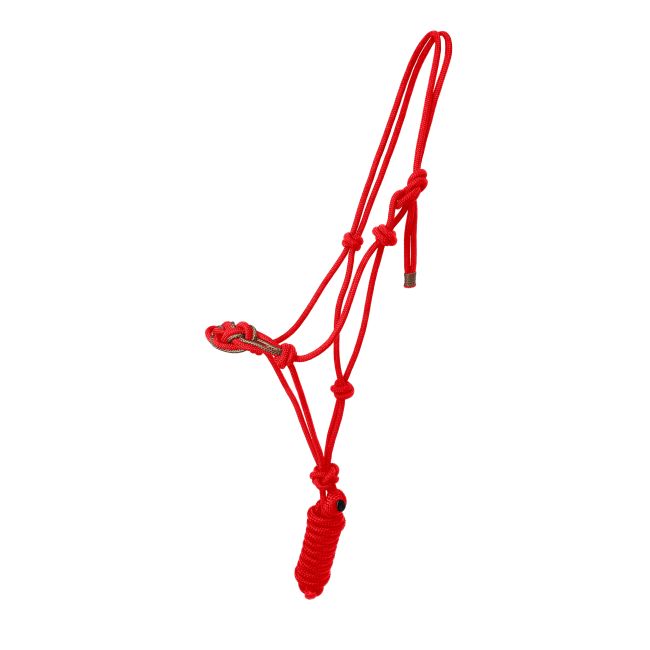 Celtic Cowboy Knot Halter