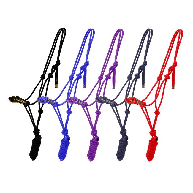 Celtic Cowboy Knot Halter