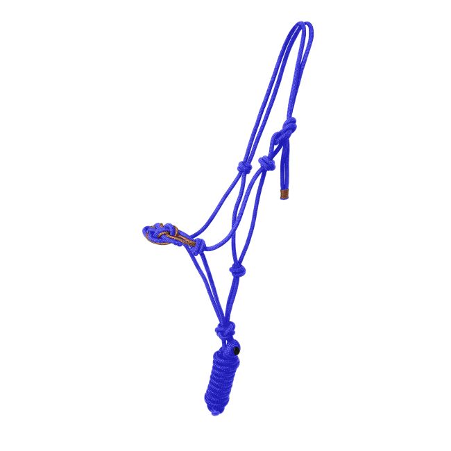 Celtic Cowboy Knot Halter