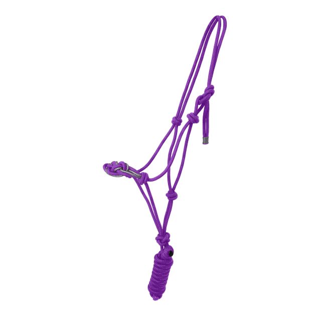 Celtic Cowboy Knot Halter