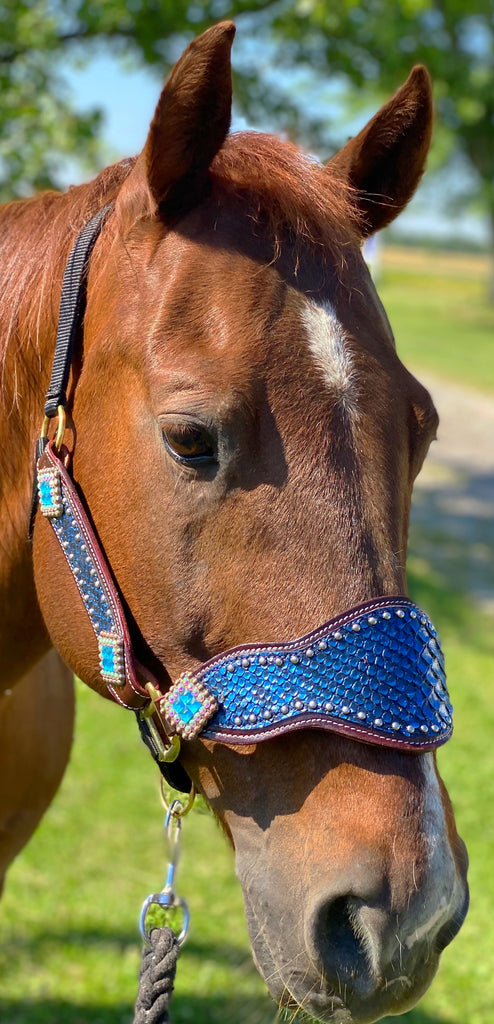 Blue Dragon Bronc Halter