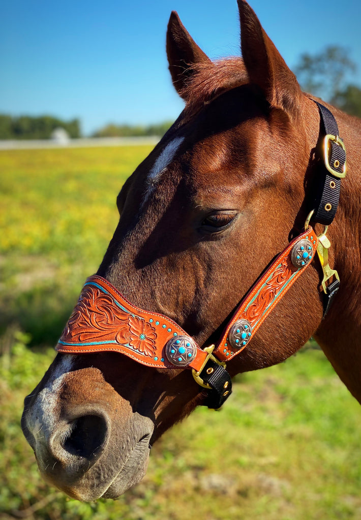 Tooled Bronc Halter