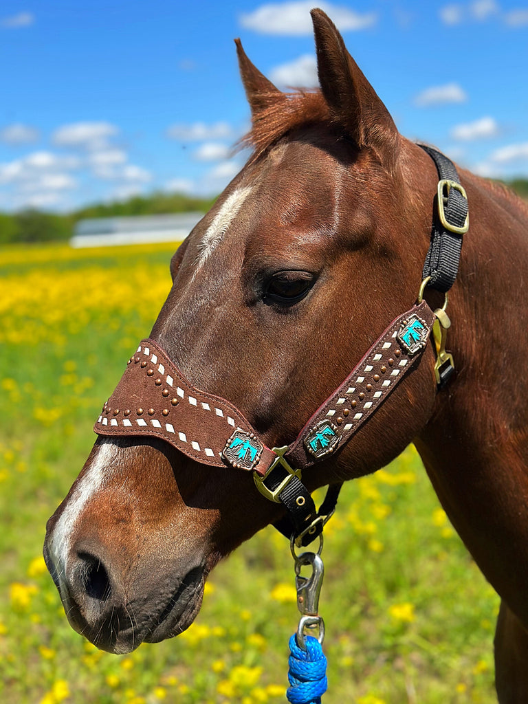 Roughout with Thunderbirds Bronc Halter