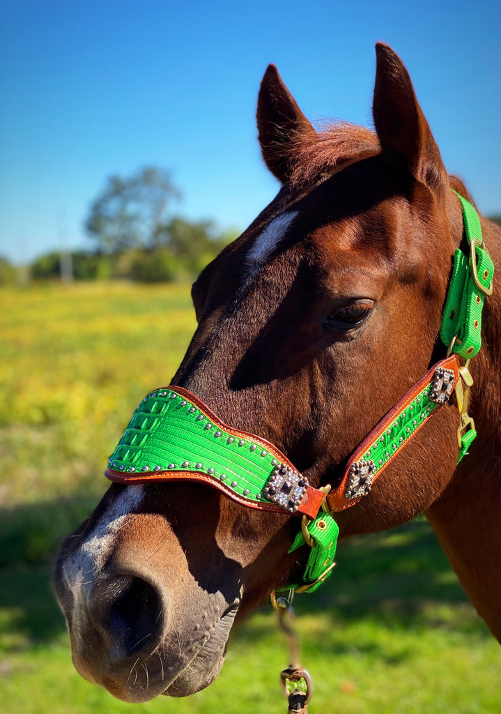 Lime Green Bronc Halter