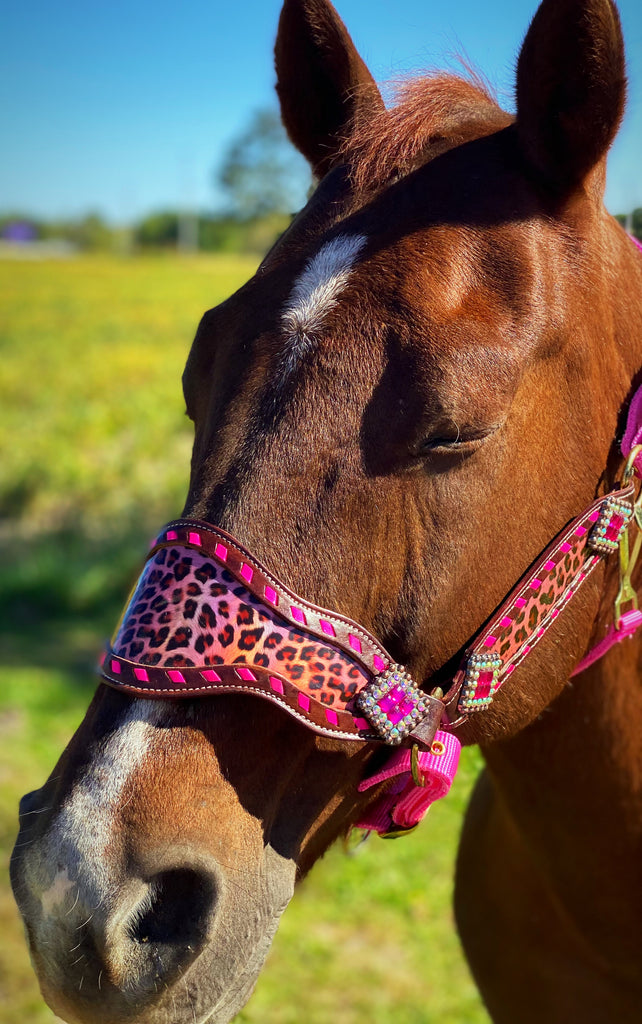 Pink Cheetah Bronc Halter