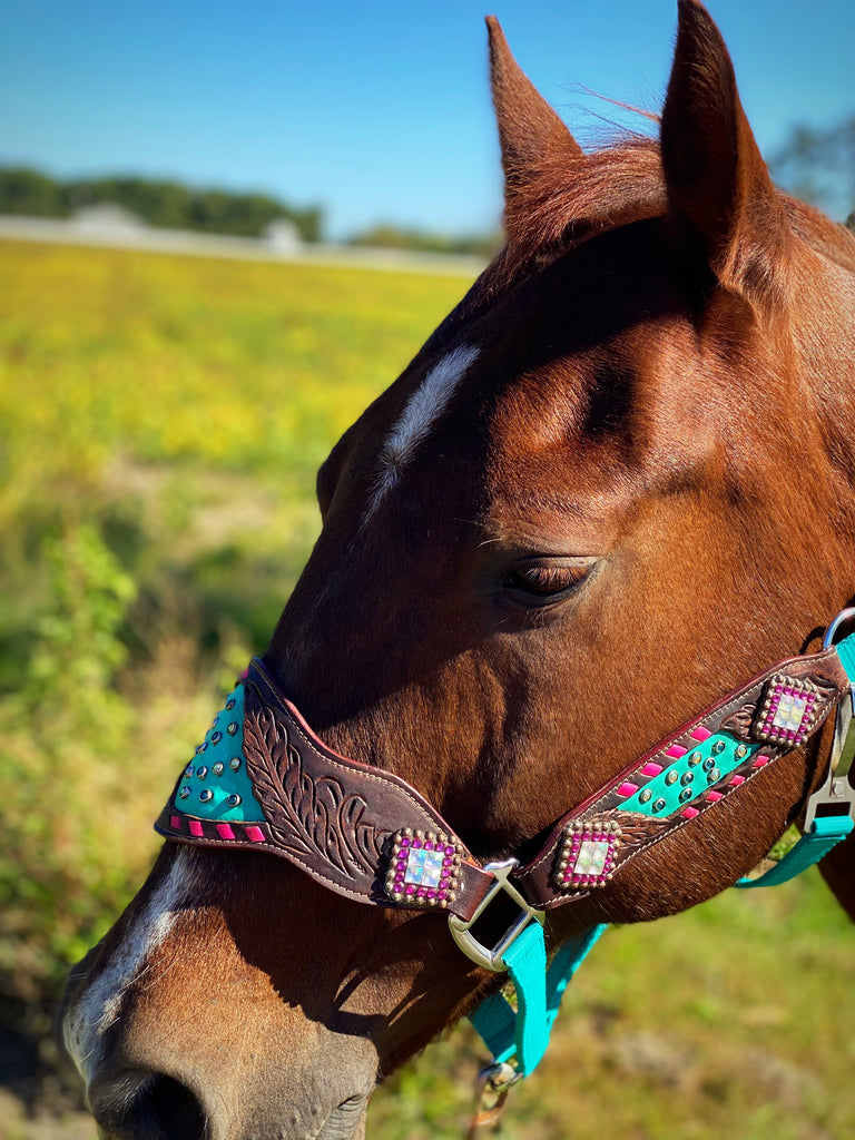 Turquoise With Pink Buckstitch Bronc Halter