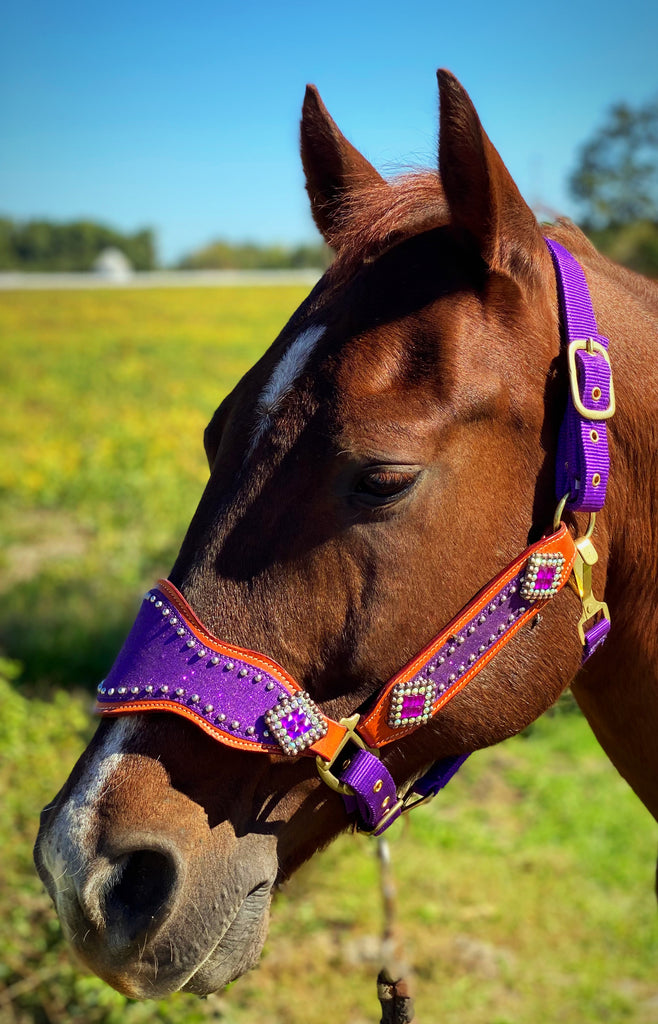 Purple Glitter Bronc Halter