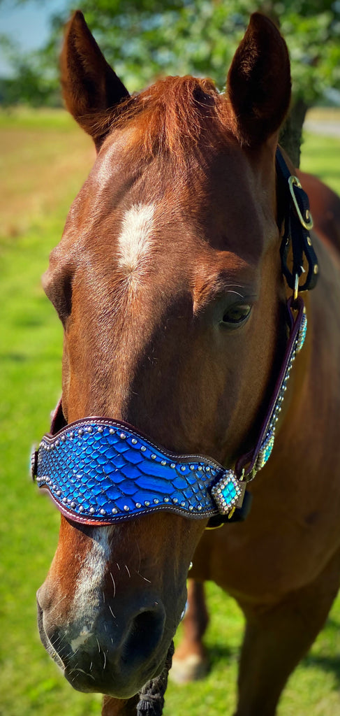 Blue Dragon Bronc Halter