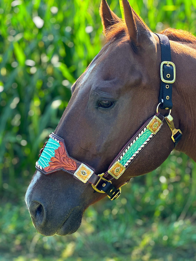 Macy Bronc Halter