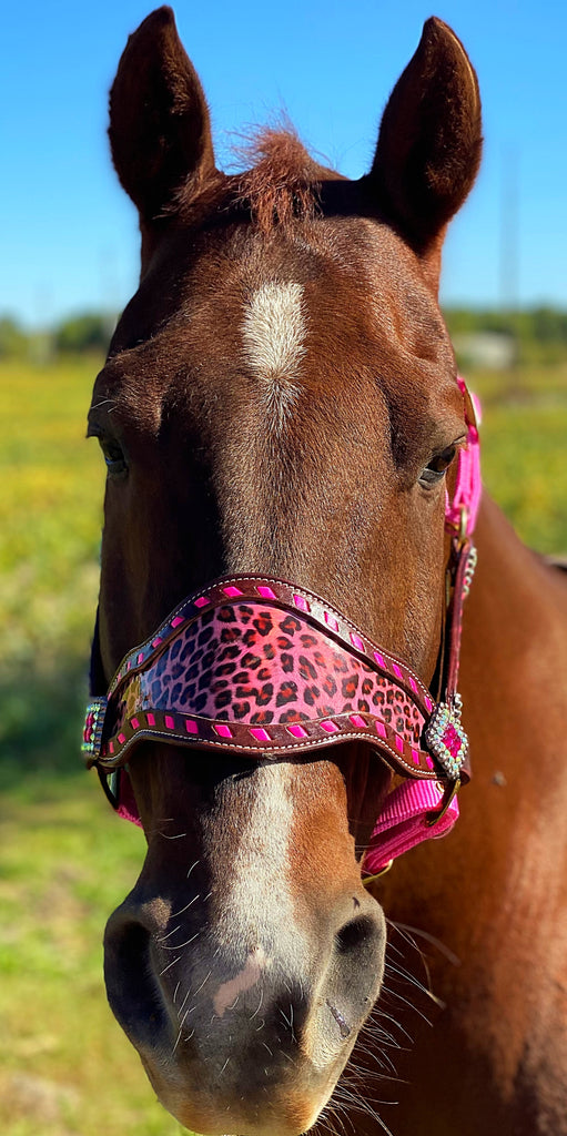 Pink Cheetah Bronc Halter