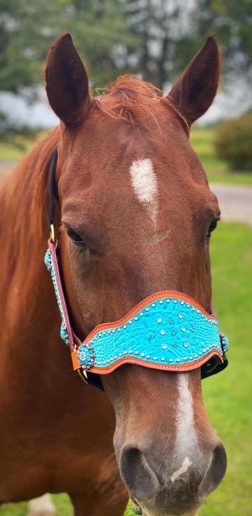 Turquoise Gator Bronc Halter