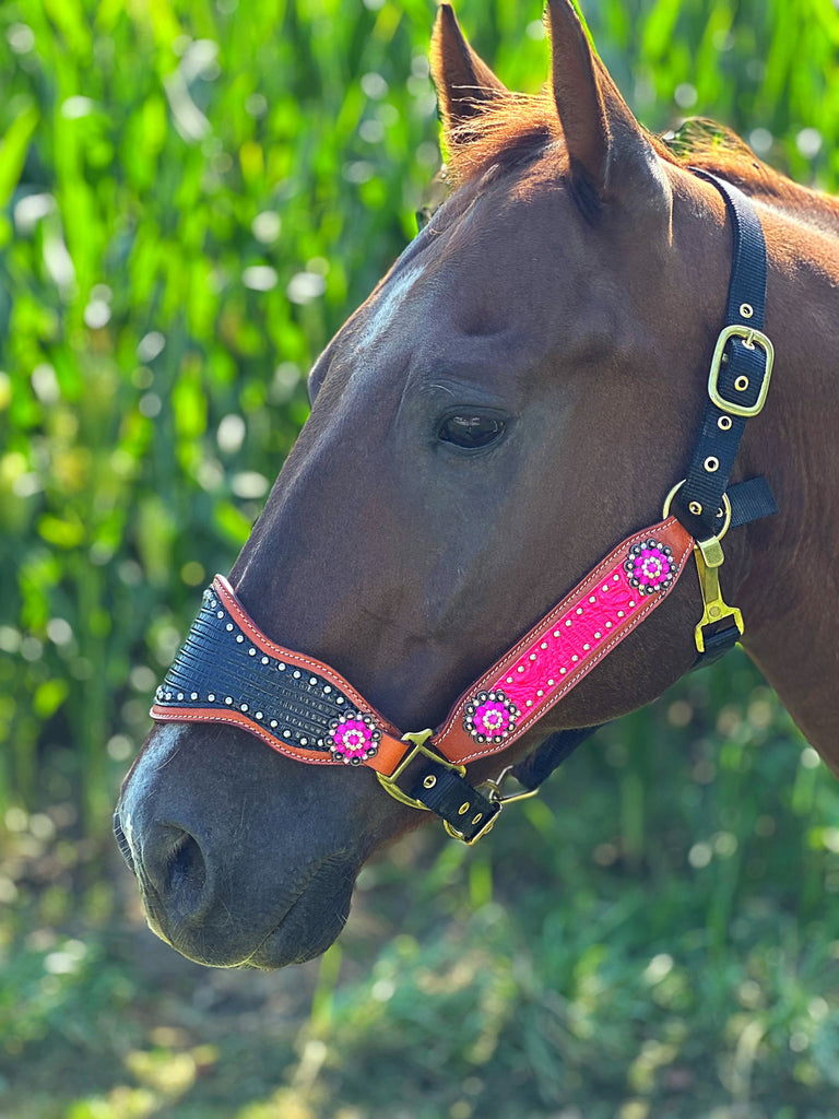 Hot Pink and Black Bronc Halter