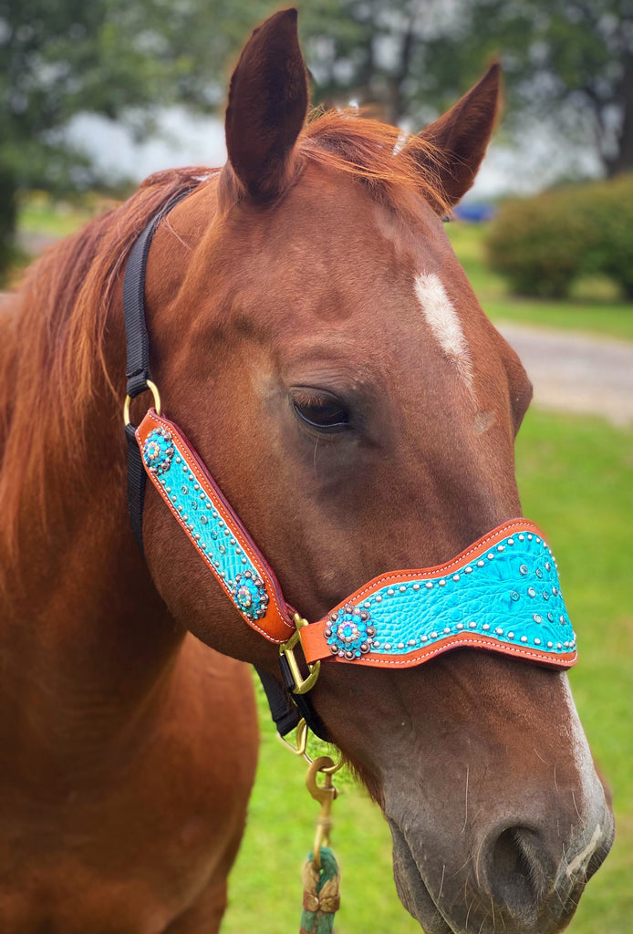 Turquoise Gator Bronc Halter