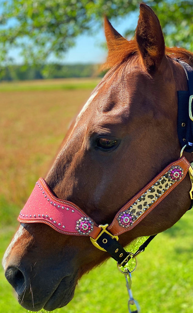 Pink Cheetah Bronc Halter