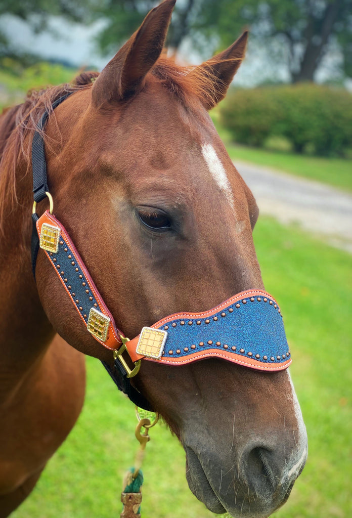 Navy Blue Glitter Cob Bronc Halter