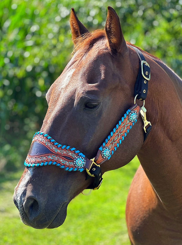 Macy Bronc Halter