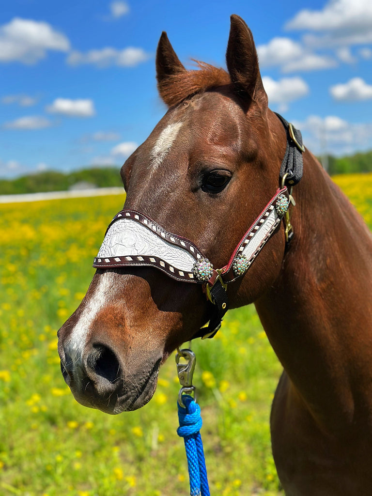 White Gator Inlay Bronc Halter